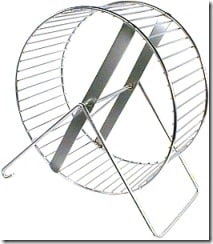 Hamster Wheel