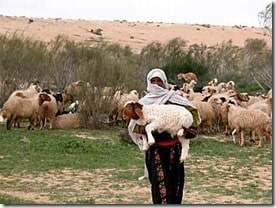 Shepherd