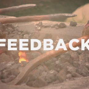 Feedback
