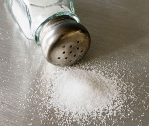 Salt Shaker