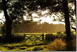Farm Gate
